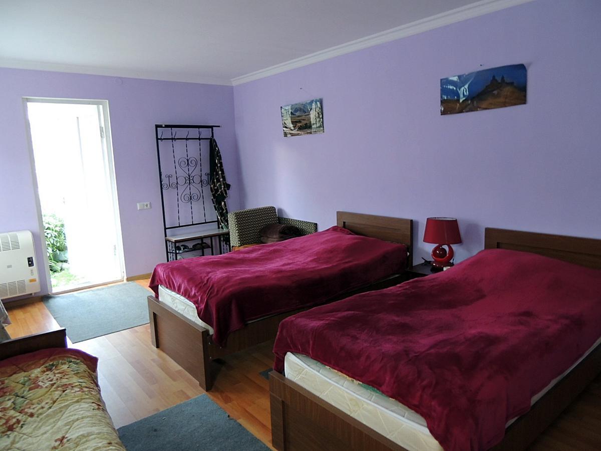 Nino Khetaguri Guest House Kazbegi Extérieur photo