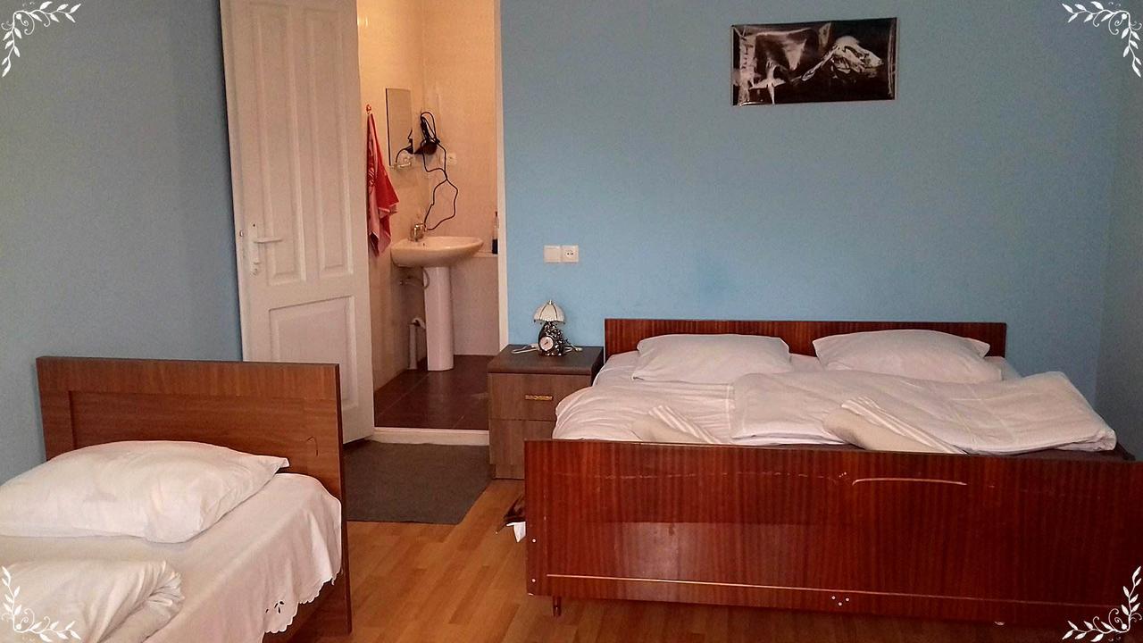 Nino Khetaguri Guest House Kazbegi Extérieur photo