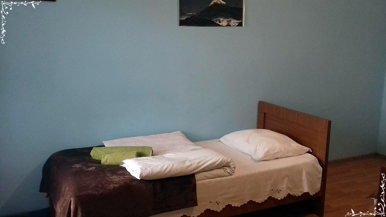 Nino Khetaguri Guest House Kazbegi Extérieur photo