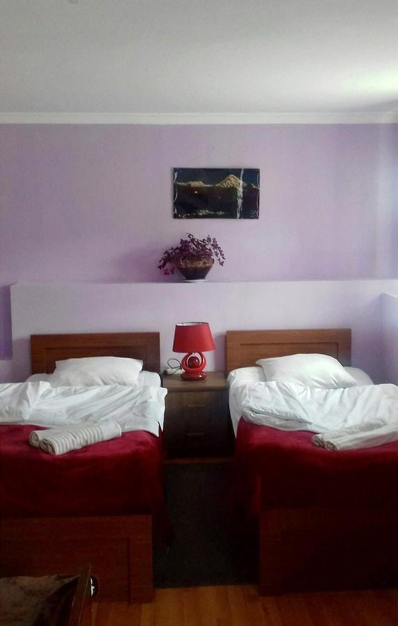 Nino Khetaguri Guest House Kazbegi Extérieur photo