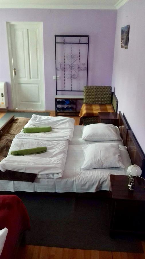 Nino Khetaguri Guest House Kazbegi Extérieur photo