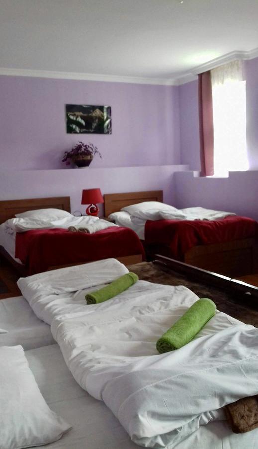 Nino Khetaguri Guest House Kazbegi Extérieur photo