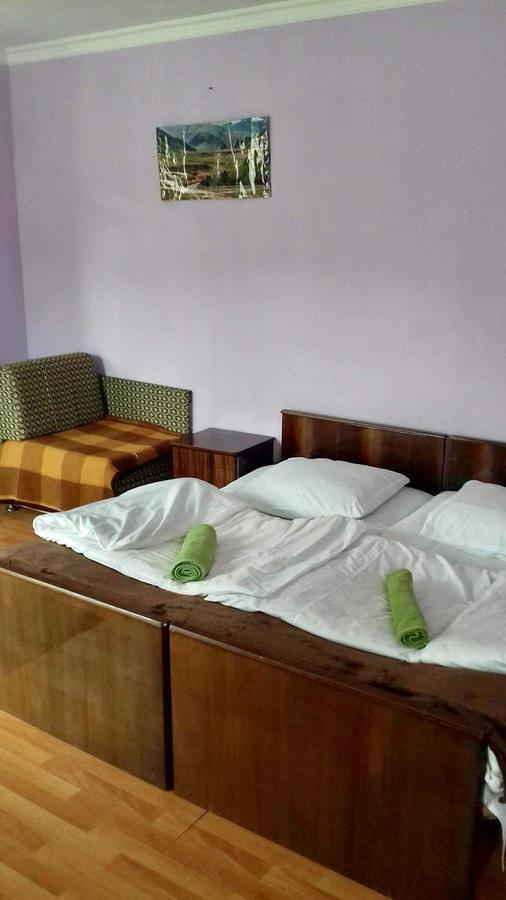 Nino Khetaguri Guest House Kazbegi Extérieur photo