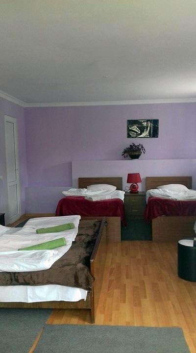 Nino Khetaguri Guest House Kazbegi Extérieur photo